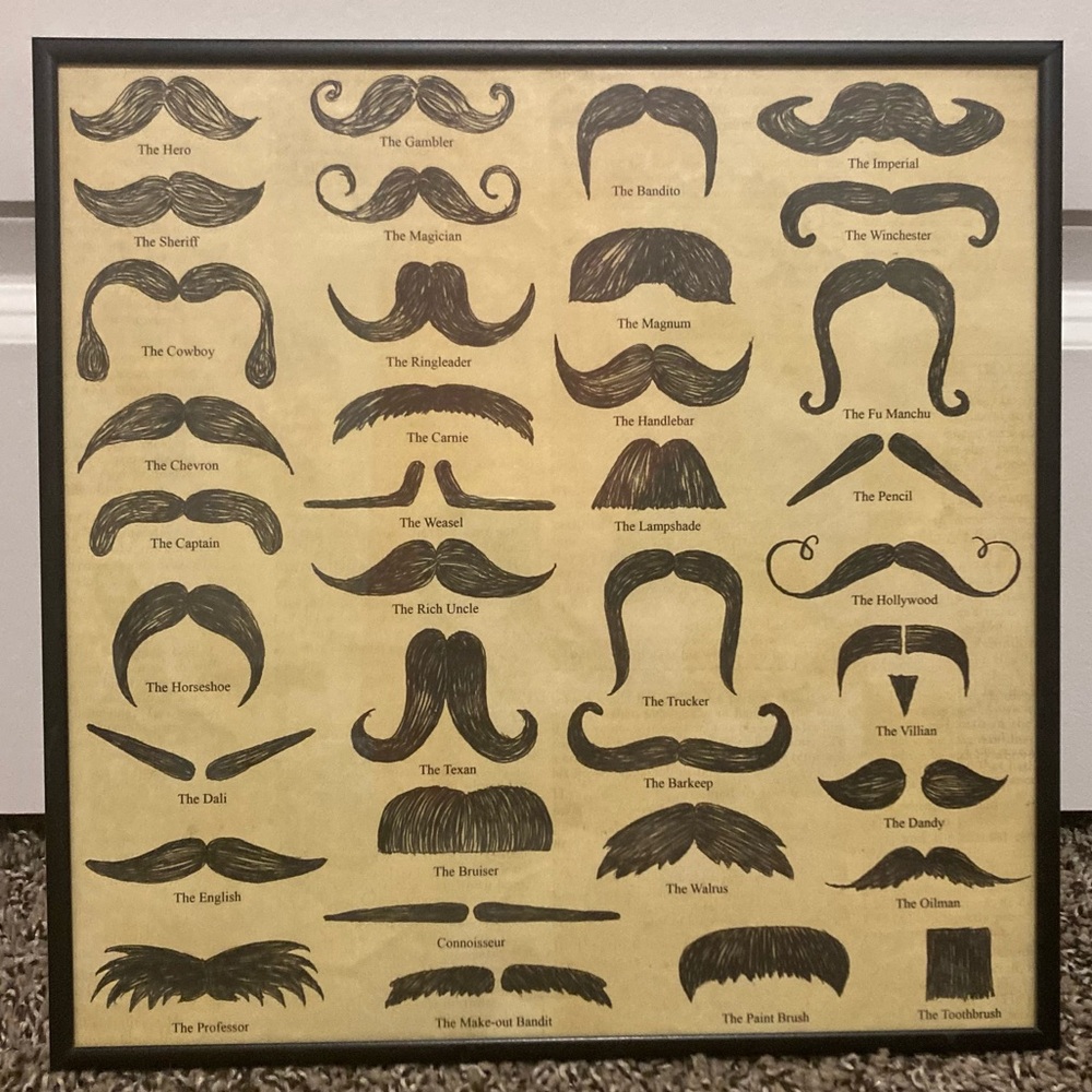 Framed Mustache Picture